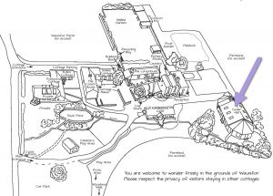 cedarhall-Map
